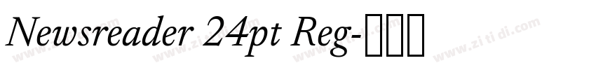 Newsreader 24pt Reg字体转换 Newsreader 24pt Reg字体转换